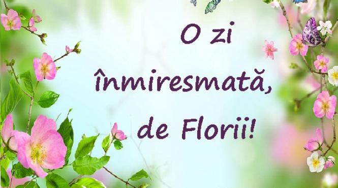 65 de urari de florii pentru sms uri twittere mesaje pe facebook ori scrisori