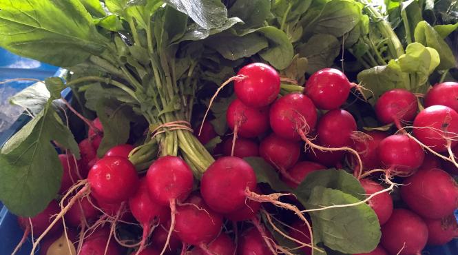 cum se pastreaza verdeturile