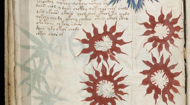 unul dintre cele mai misterioase coduri manuscrisul voynich a fost spart textul scris intr o limba disparuta din care a evoluat romana