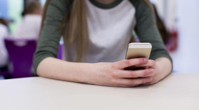 dispare dirigintele apare consilierul de orientare profesionala