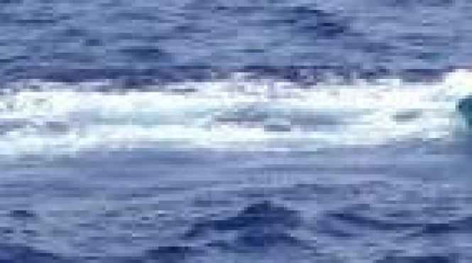 politia germana si franceza cauta in continuare o fata de 4 ani disparuta pe rin