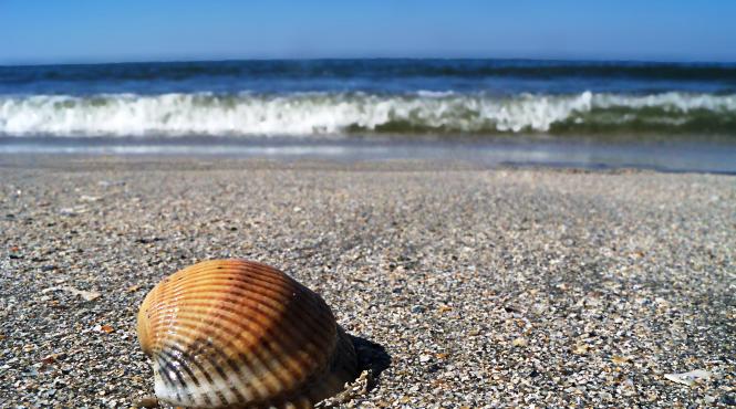 constanta peste doua milioane de turisti asteptati pe litoral varful sezonului estival dupa 15 iulie