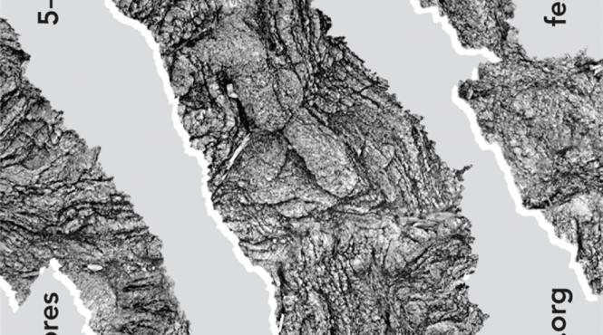 participare romaneasca la festivalul international de arta urbana walk talk 2019