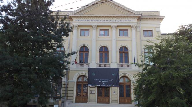 academia romana reactie la propunerea ridicarii muzeului holocaustului in curtea muzeului antipa