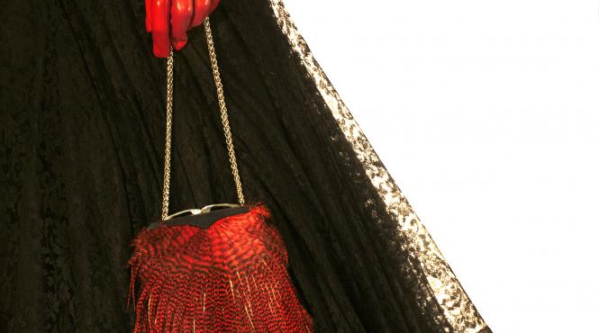 doina levintza dan coma si mihai topescu la versailles ul belgian