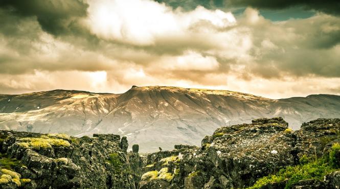 islanda replanteaza padurile puse la pamant de vikingi