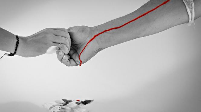 sangele respins la analize sau sangele rebut ce trebuie sa stie donatorii despre asta