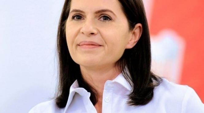 adriana saftoiu voi solicita camerei infiintarea unei comisii care sa analizeze toate dosarele persoanelor disparute