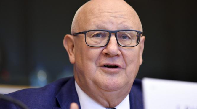 ioan mircea pascu avertisment dur pentru rovana plumb si dan nica