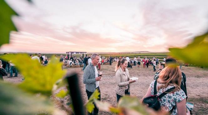 mauve wine experience iii festival de muzica si film in via tohani romania