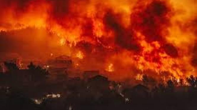 grecia politia a evacuat 140 de locatari ilegali din atena
