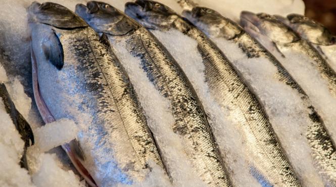 22 de tone de peste si produse din peste necoforme retrase de la comercializare