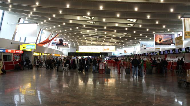 88 de reptile printre care serpi veninosi gasite in bagajele unui barbat pe aeroportul din viena