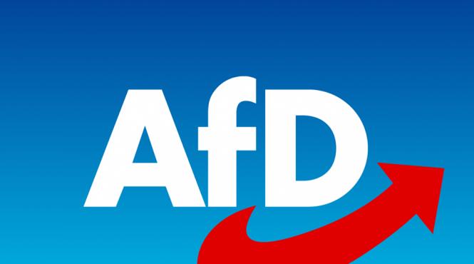 un membru al afd pleaca dintr un interviu dupa o comparatie intre un citat dintr o carte a sa si mein kampf