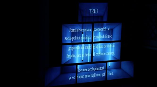 spectacolul triburi in regia lui vlad cristache la festivalul zile si nopti de teatru la braila