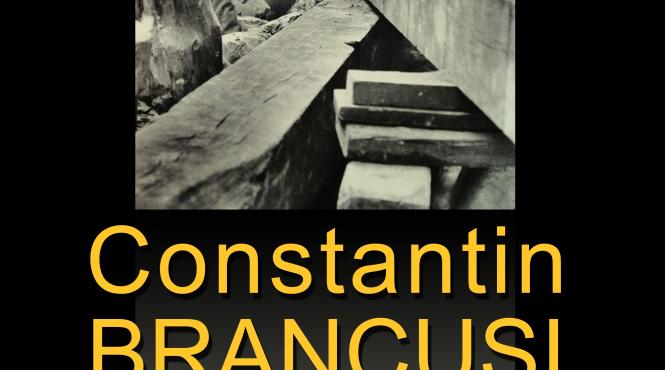 colocviul povestiri inedite despre constantin brancusi