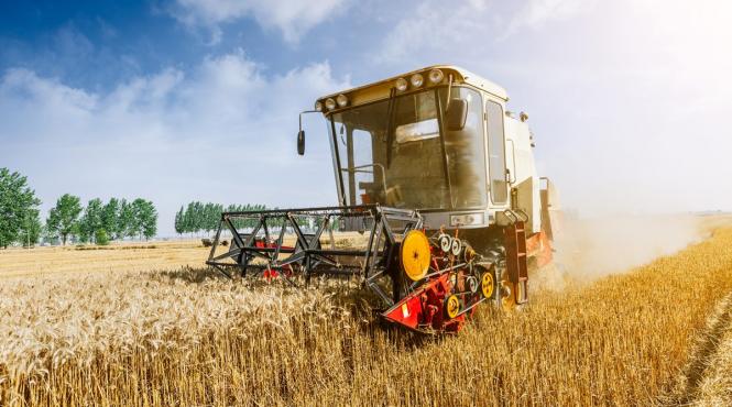 ins 98 din romani au contracte permanente de munca