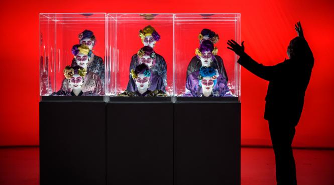 teatru dans film muzica si spectacole pentru copii toate sub acelasi acoperis teatrul national radu stanca sibiu