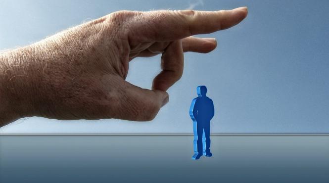 amantele si pilosii nu pot fi dati afara