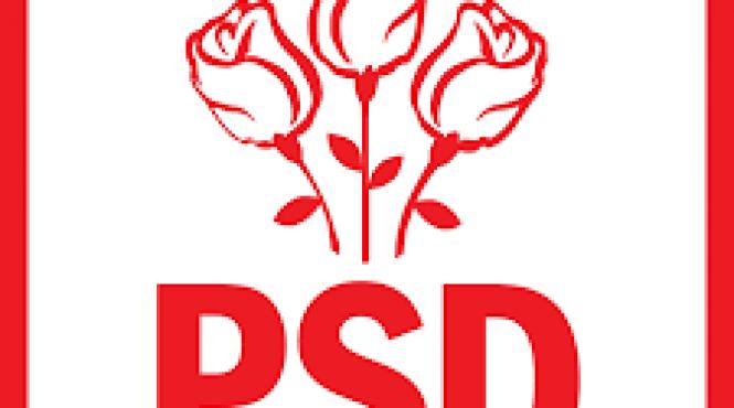 senatorul doina federovici psd ura partidelor de opozitie fata de psd nu poate tine loc de buna guvernare