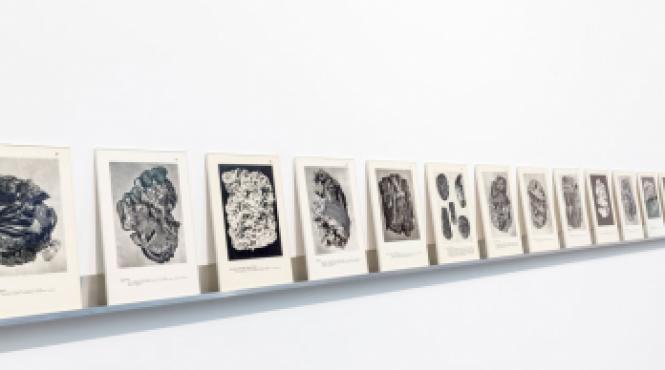 artisti romani in cadrul expozitiei imagined pasts la budapest galeria