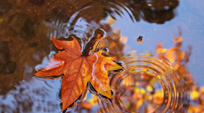 vremea se strica in aproape toata tara prognoza meteo in urmatoarele trei zile
