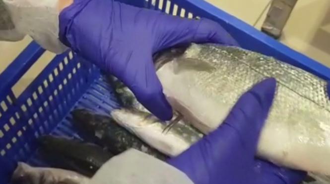 doua magazine ale unui important lant de hipermarketuri au fost inchise in urma neregulilor grave