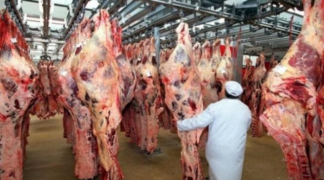 dana tanase asociatia romana a carnii pesta porcina africana a zguduit din temelii industria de procesare din romania