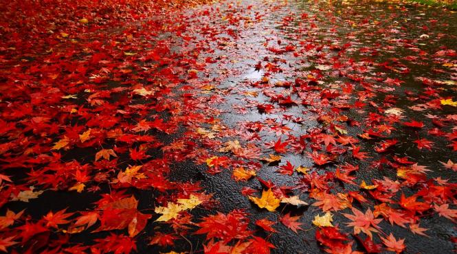 prognoza meteo pentru 4 5 6 si 7 noiembrie temperaturi in crestere