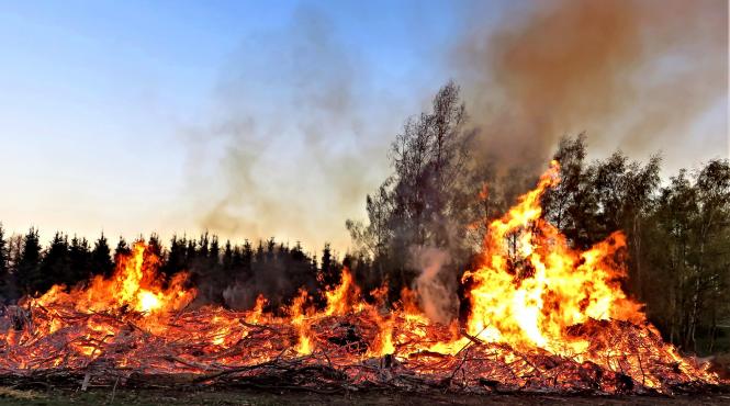 italia va include studierea schimbarilor climatice in curriculumul scolar