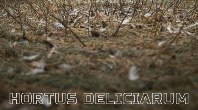 expozitia hortus deliciarum a artistei maria victoria zidaru