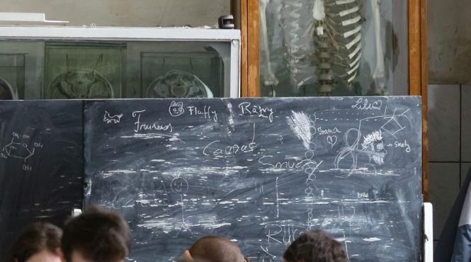 concurenta mare la rezidentiat