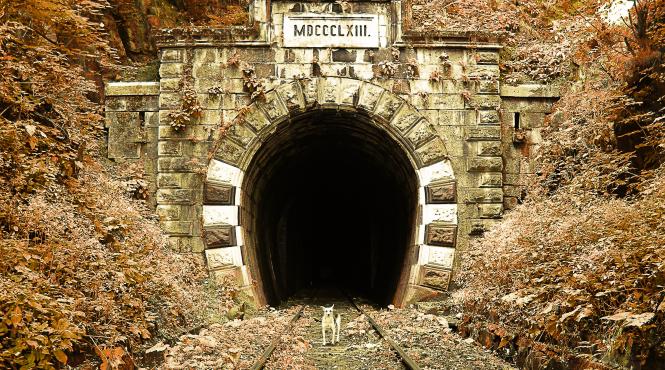 excursie civica pentru salvarea liniei oravita anina