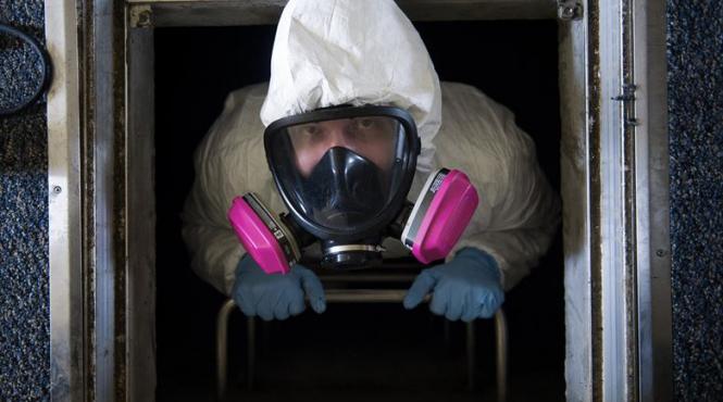 nereguli gasite la mai multe firme de deratizare din covasna