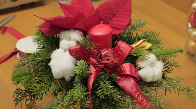 recomandarea saptamanii cum ingrijim craciunitele cele mai frumoase flori ale iernii