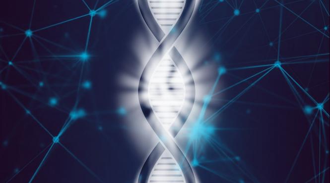 ceas genetic care prezice durata de viata a fiecarei specii descoperit de cercetatorii australieni