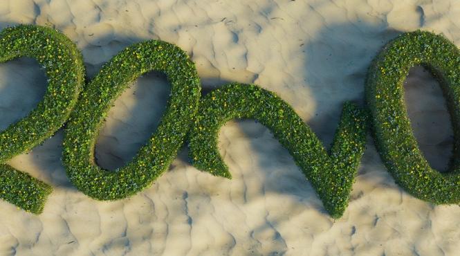 horoscop ce trebuie sa faci in 2020 in functie de zodie