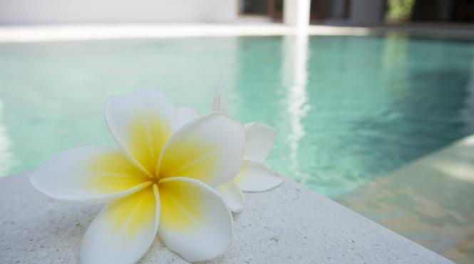 relaxare la spa cu apa termala therme bucuresti