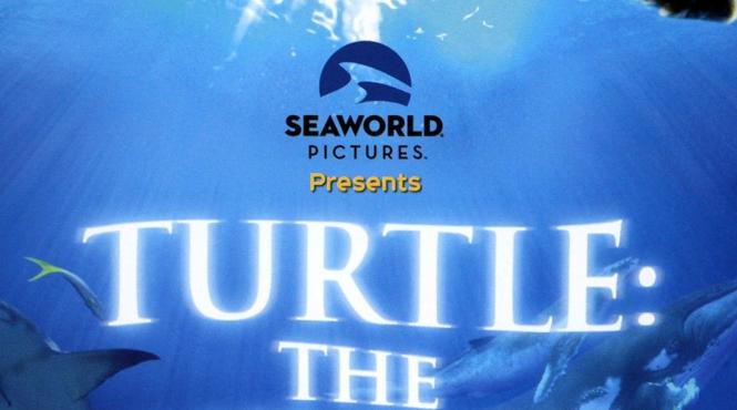 hellen mirren si olivia colman isi imprumuta vocile unor testoase in scurtmetrajul animat turtle journey