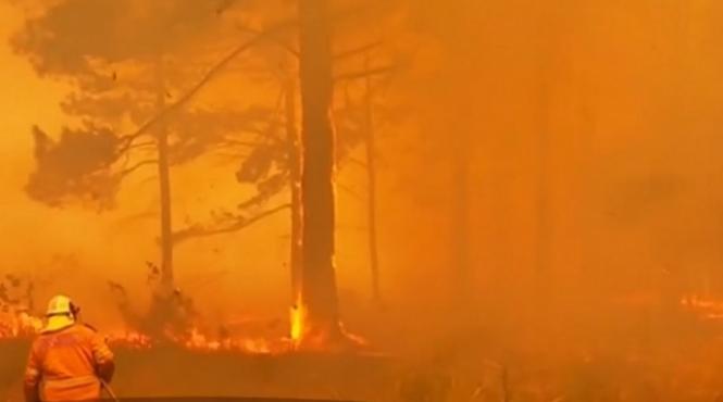 incendiile de vegetatie se vor inrautati iar oamenii trebuie sa se adapteze avertizeaza expertii