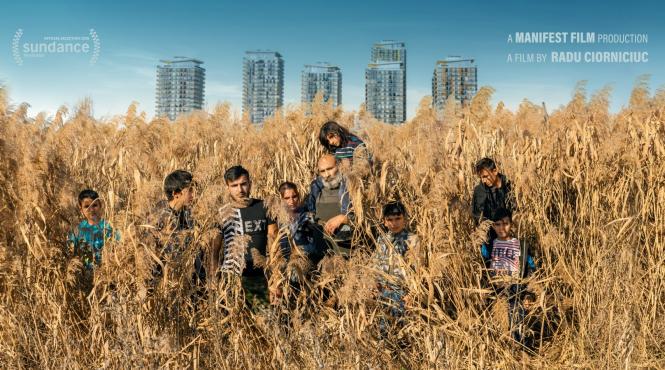 lungmetrajul acasa acasa my home proiectii sold out la sundance 2020 cel mai important festival independent din sua