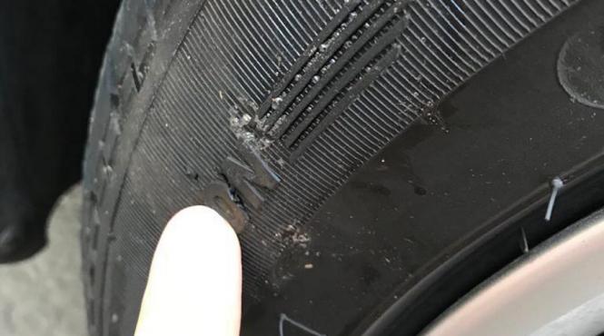 fenomen ciudat in capitala masinile sunt mancate de caini