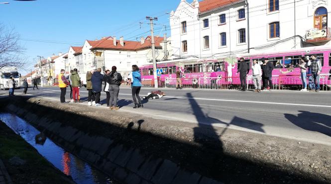 tragedie cumplita la arad o tanara insarcinata a decedat dupa ce a fost lovita pe trecerea de pietoni
