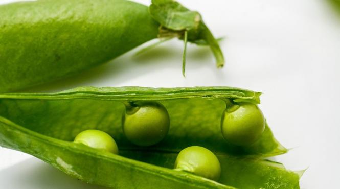 arme economice hrana viitorului made in romania