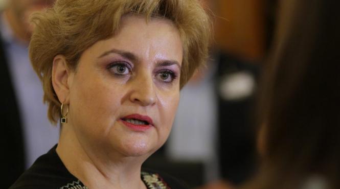 gratiela gavrilescu proiect de lege de modificare a codului silvic si a codului penal