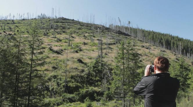 lemn wood filmul care vorbeste despre taierile ilegale de paduri din romania va avea premiera la festivalul international de film documentar copenhaga