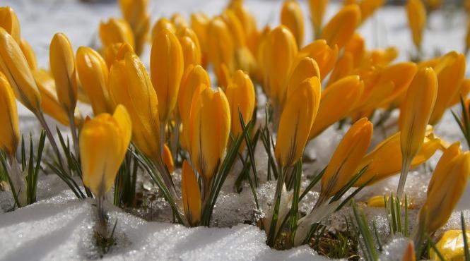 vremea se schimba brusc de maine temperaturile scad in toata tara