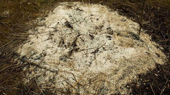 grupul noima duce focul sacru al lui sumedru la art quarter budapesta