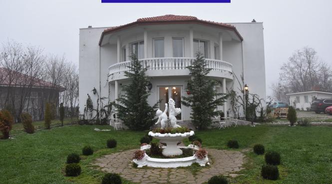 gelu oltean si iubita sa au incercat sa isi autorizeze clinica in care se consuma ayahuasca