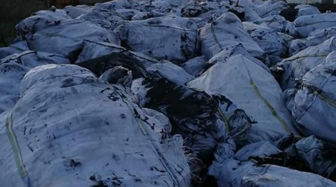 supravietuitori in tara gunoaielor scandal la pecica